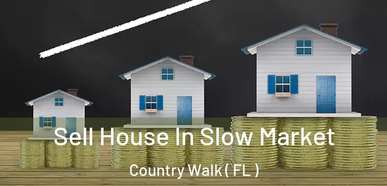  Sell House In Slow Market Country Walk ( FL )