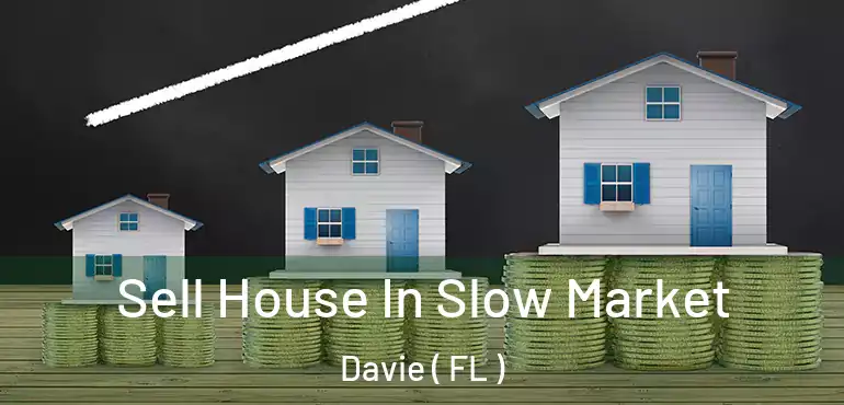  Sell House In Slow Market Davie ( FL )