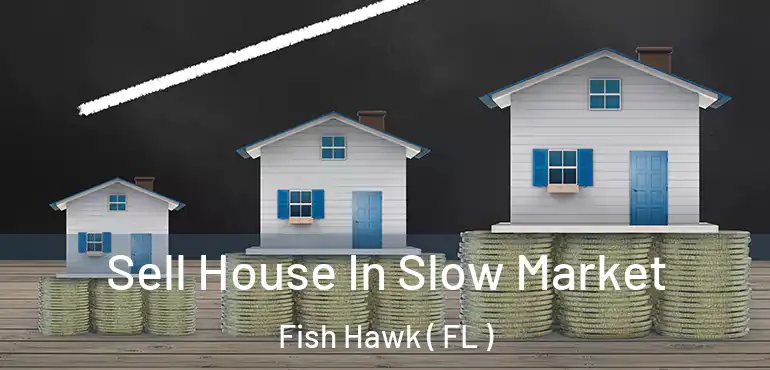  Sell House In Slow Market Fish Hawk ( FL )