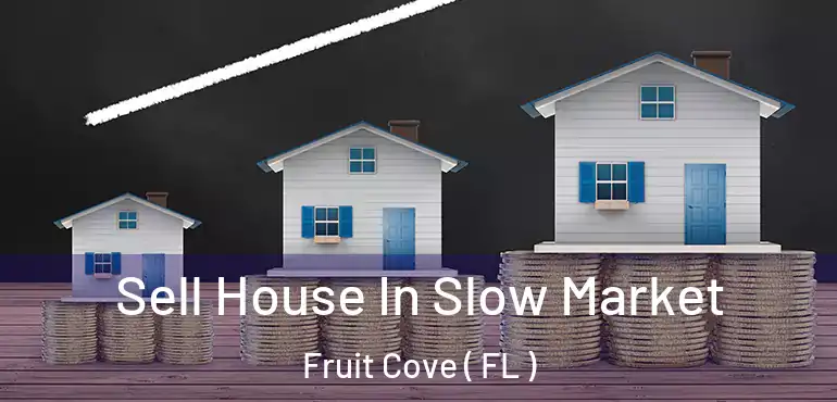  Sell House In Slow Market Fruit Cove ( FL )