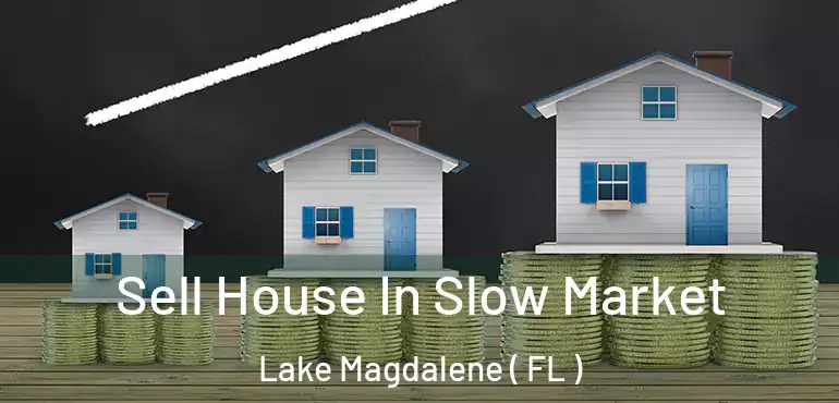  Sell House In Slow Market Lake Magdalene ( FL )