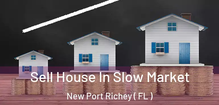  Sell House In Slow Market New Port Richey ( FL )
