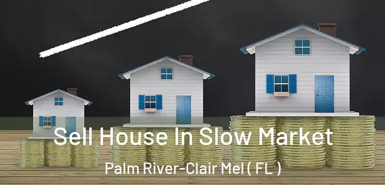  Sell House In Slow Market Palm River-Clair Mel ( FL )