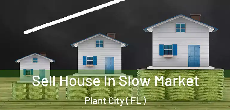  Sell House In Slow Market Plant City ( FL )