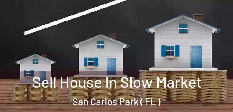  Sell House In Slow Market San Carlos Park ( FL )