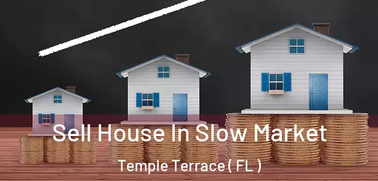  Sell House In Slow Market Temple Terrace ( FL )