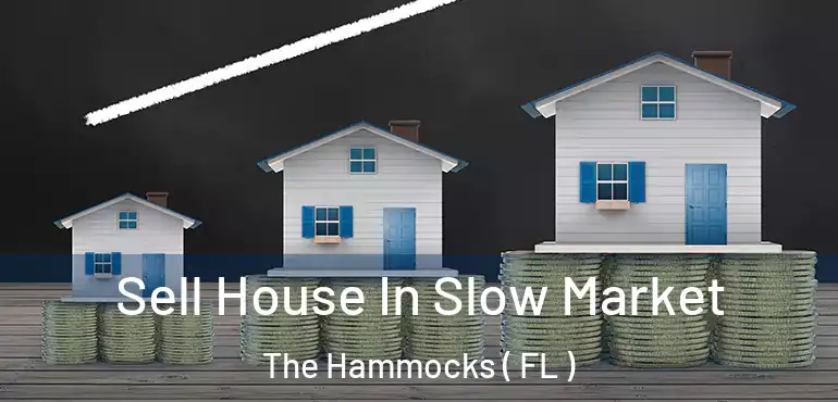  Sell House In Slow Market The Hammocks ( FL )
