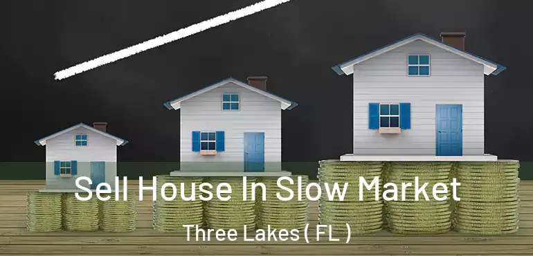  Sell House In Slow Market Three Lakes ( FL )