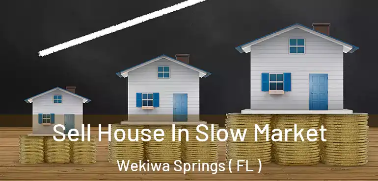  Sell House In Slow Market Wekiwa Springs ( FL )
