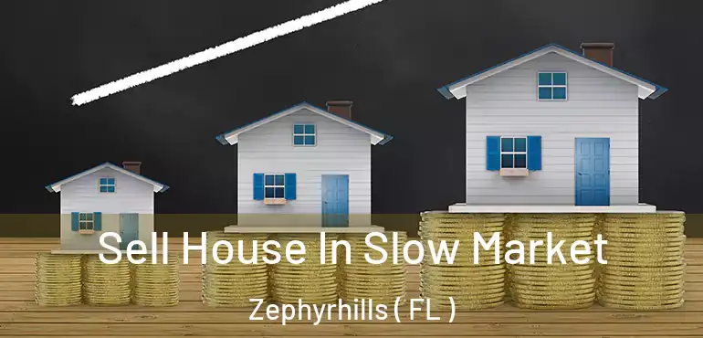  Sell House In Slow Market Zephyrhills ( FL )