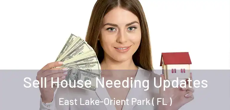  Sell House Needing Updates East Lake-Orient Park ( FL )