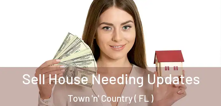  Sell House Needing Updates Town 'n' Country ( FL )