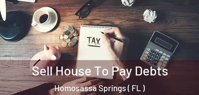  Sell House To Pay Debts Homosassa Springs ( FL )