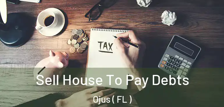  Sell House To Pay Debts Ojus ( FL )