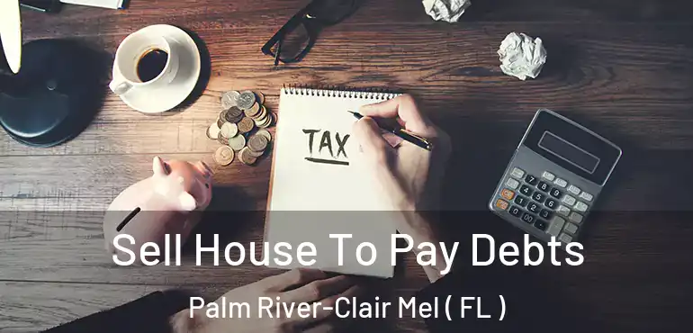  Sell House To Pay Debts Palm River-Clair Mel ( FL )
