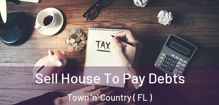  Sell House To Pay Debts Town 'n' Country ( FL )