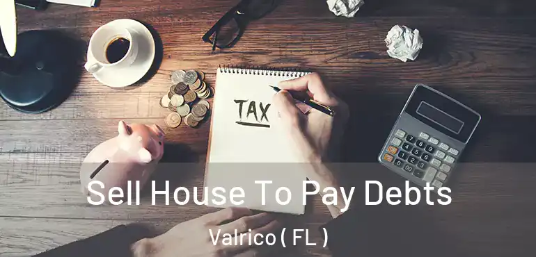  Sell House To Pay Debts Valrico ( FL )
