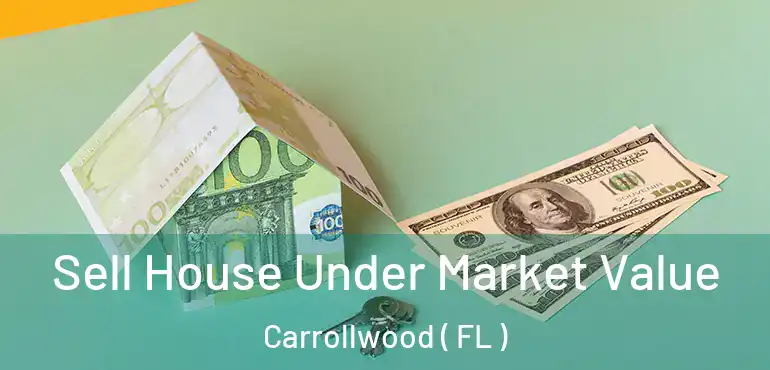  Sell House Under Market Value Carrollwood ( FL )