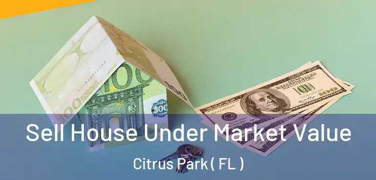  Sell House Under Market Value Citrus Park ( FL )