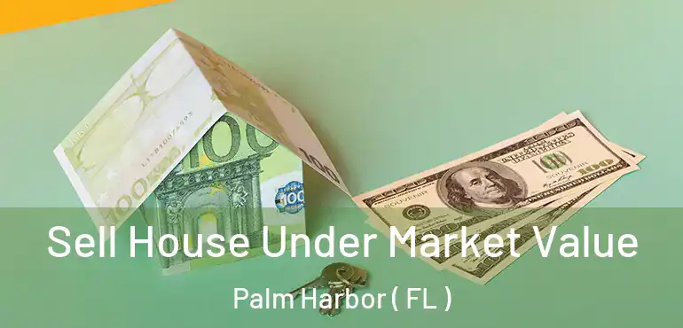  Sell House Under Market Value Palm Harbor ( FL )