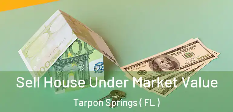  Sell House Under Market Value Tarpon Springs ( FL )
