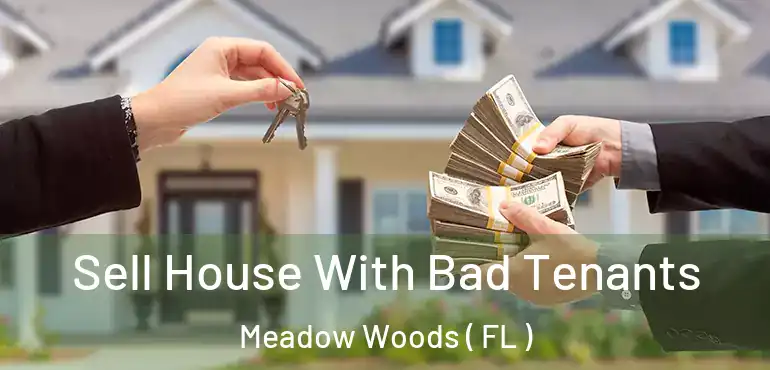  Sell House With Bad Tenants Meadow Woods ( FL )