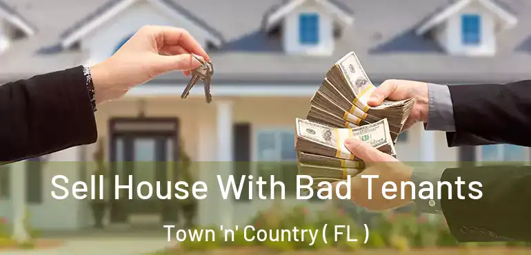  Sell House With Bad Tenants Town 'n' Country ( FL )