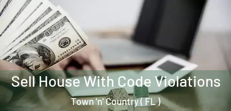  Sell House With Code Violations Town 'n' Country ( FL )