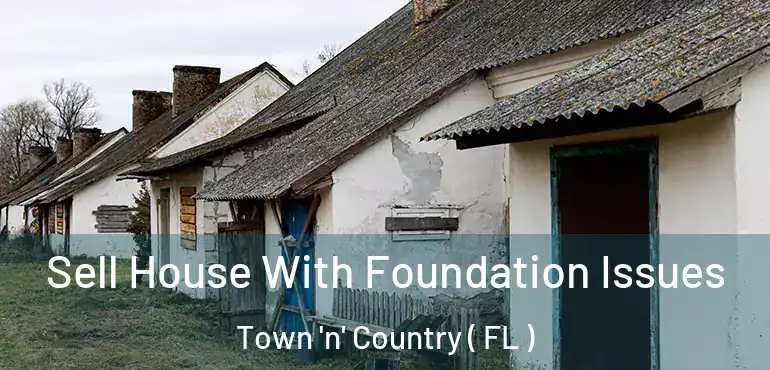  Sell House With Foundation Issues Town 'n' Country ( FL )