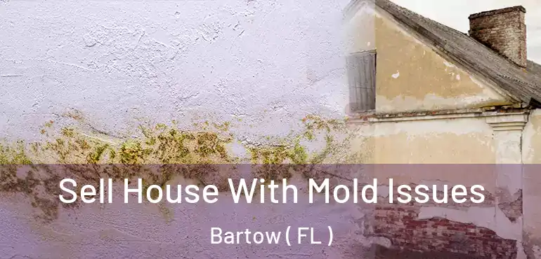  Sell House With Mold Issues Bartow ( FL )