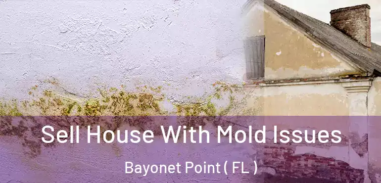  Sell House With Mold Issues Bayonet Point ( FL )
