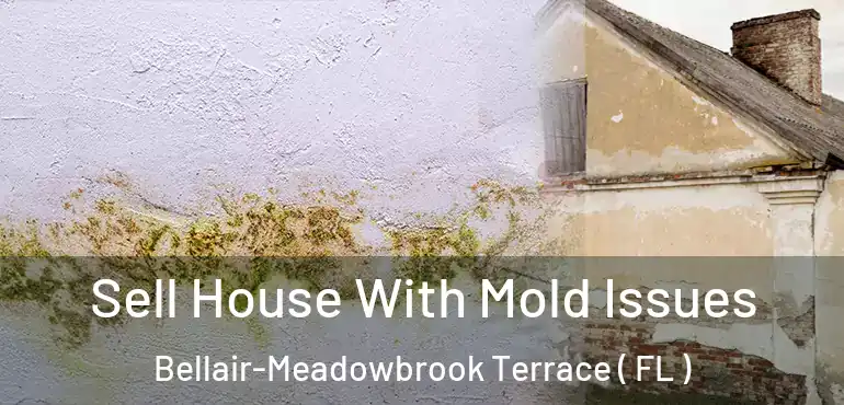  Sell House With Mold Issues Bellair-Meadowbrook Terrace ( FL )