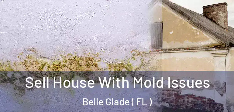  Sell House With Mold Issues Belle Glade ( FL )