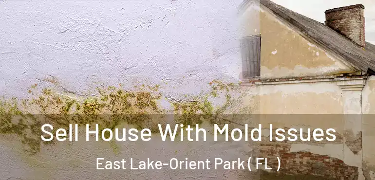  Sell House With Mold Issues East Lake-Orient Park ( FL )