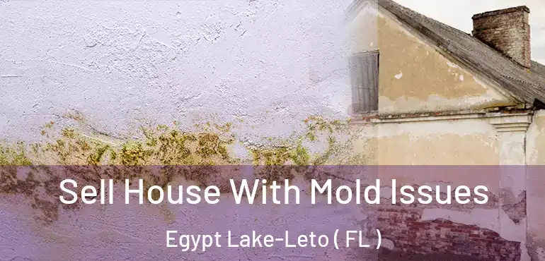  Sell House With Mold Issues Egypt Lake-Leto ( FL )