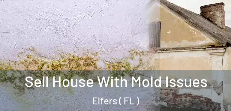  Sell House With Mold Issues Elfers ( FL )