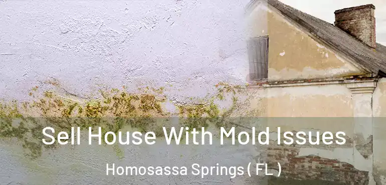  Sell House With Mold Issues Homosassa Springs ( FL )