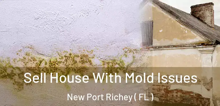 Sell House With Mold Issues New Port Richey ( FL )