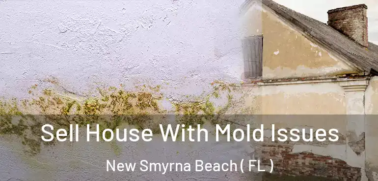  Sell House With Mold Issues New Smyrna Beach ( FL )