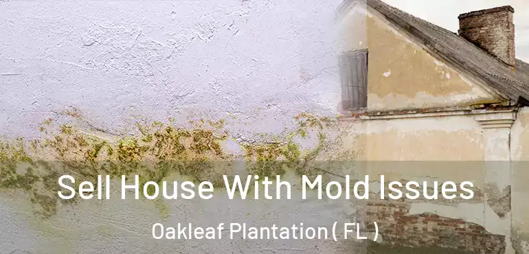  Sell House With Mold Issues Oakleaf Plantation ( FL )
