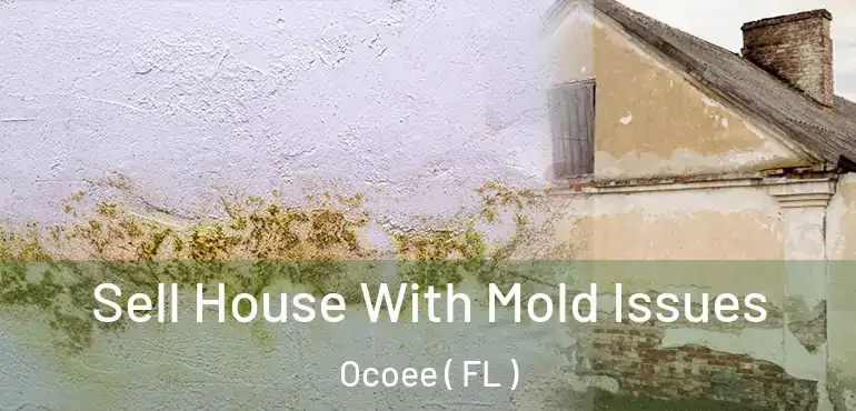 Sell House With Mold Issues Ocoee ( FL )