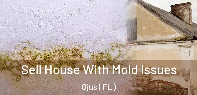  Sell House With Mold Issues Ojus ( FL )