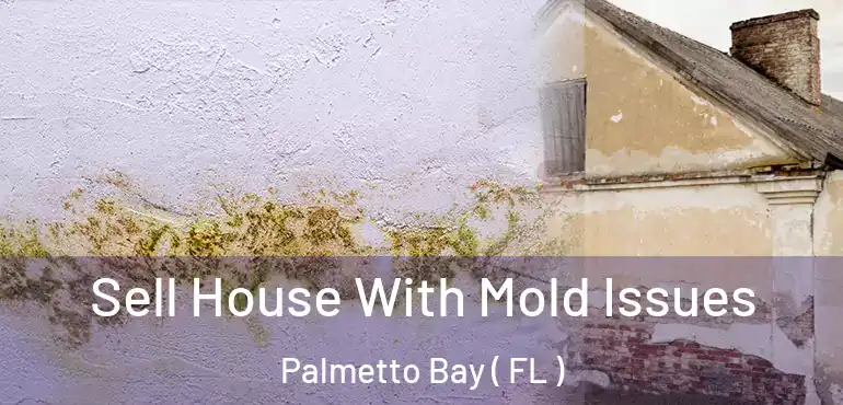  Sell House With Mold Issues Palmetto Bay ( FL )