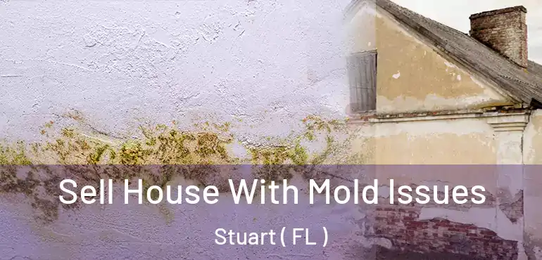  Sell House With Mold Issues Stuart ( FL )