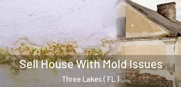  Sell House With Mold Issues Three Lakes ( FL )