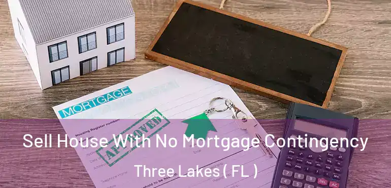  Sell House With No Mortgage Contingency Three Lakes ( FL )