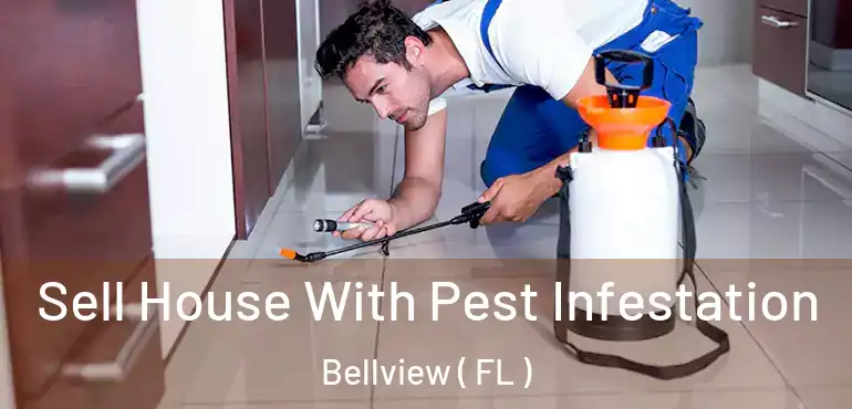  Sell House With Pest Infestation Bellview ( FL )