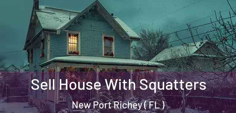 Sell House With Squatters New Port Richey ( FL )