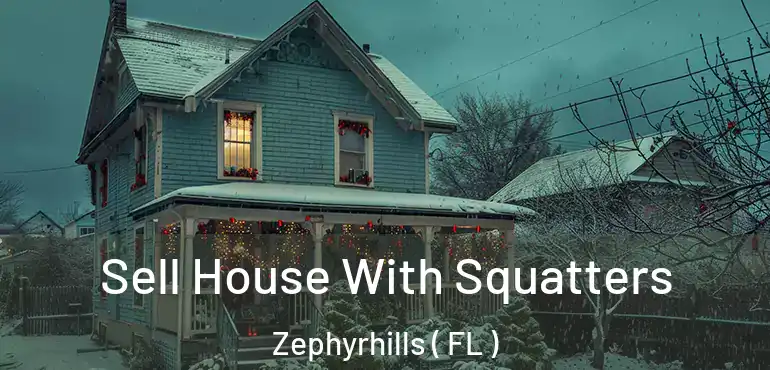  Sell House With Squatters Zephyrhills ( FL )