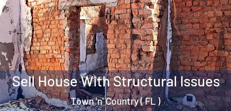  Sell House With Structural Issues Town 'n' Country ( FL )